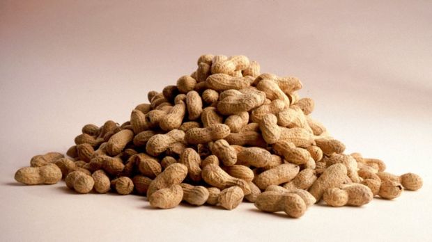 Peanut allergy drug approved by the US FDA