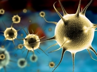 Коронавірус: все, що потрібно знати про вірус