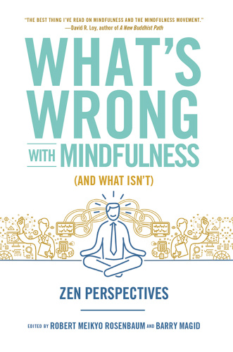 What's Wrong with Mindfulness (And What Isn't)   Zen Perspectives