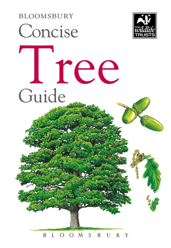 Concise Tree Guide (gnv64)