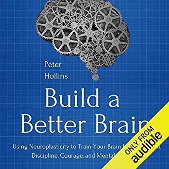 Build a Better Brain (Audiobook)