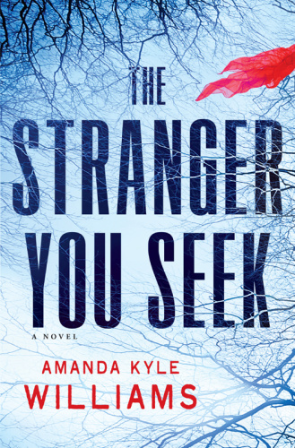 The Stranger You Seek   Amanda Kyle Williams