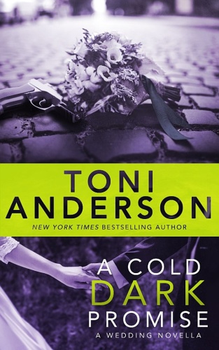 Toni Anderson [Cold Justice 09] A Cold Dark Promise