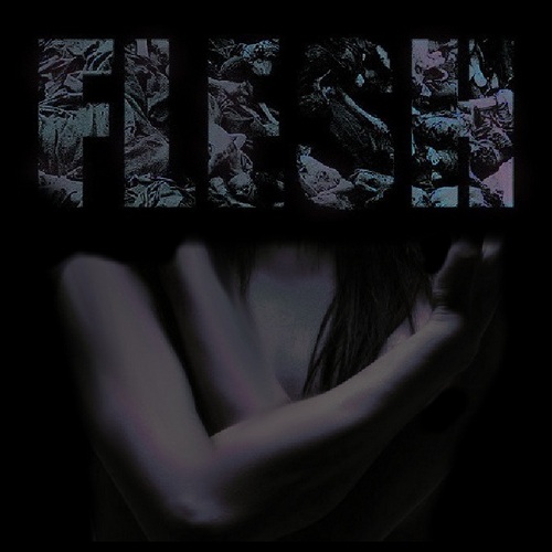 FLESH - V I H (2015, digital release, Lossless)