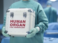 На трансплантацию органов в Украине правительство выделило 112 миллионов гривен на 2020 год