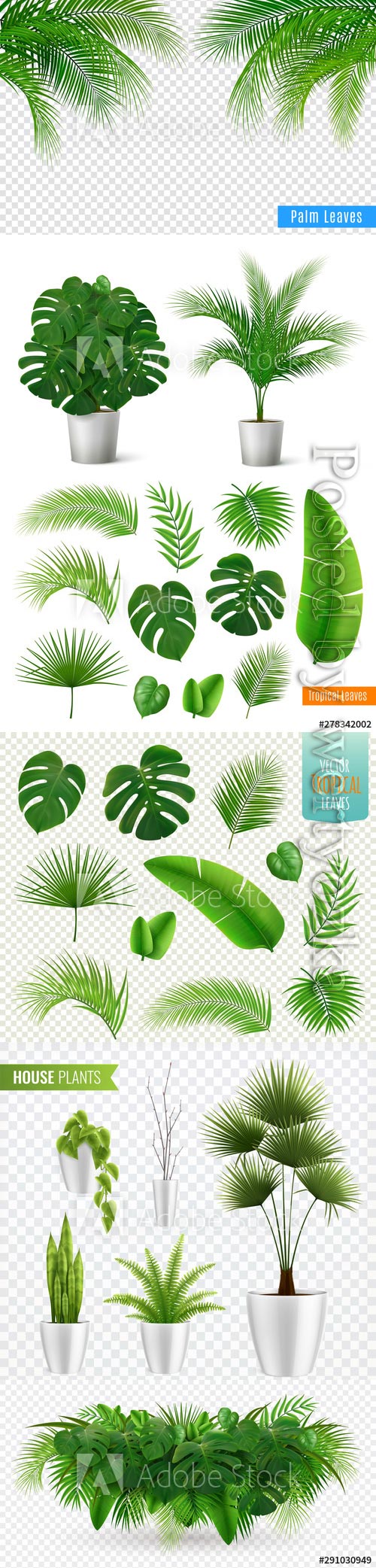 Tropical leaves realistic composition vector illustrations