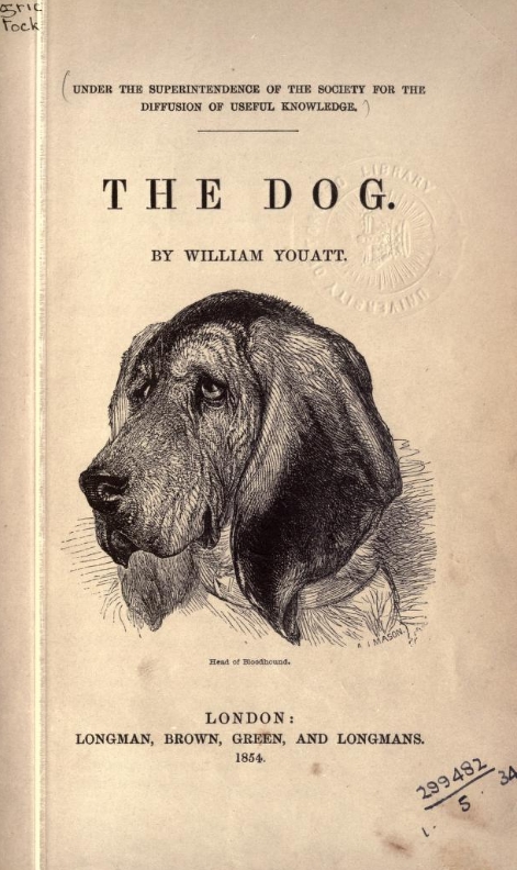 The dog. 1854