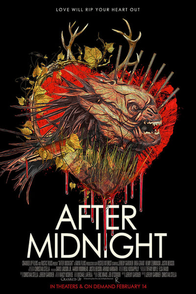 After Midnight 2019 1080p WEB-DL H264 AC3-EVO