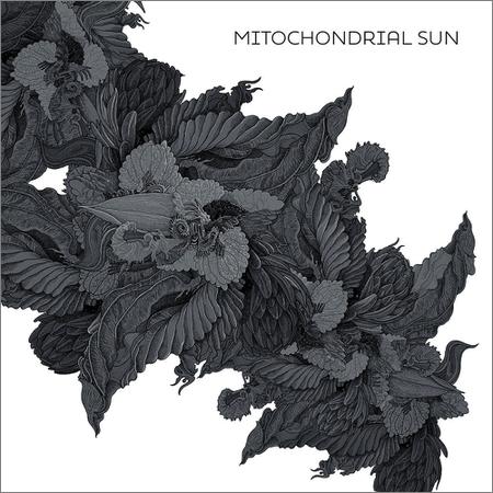 Mitochondrial Sun - Mitochondrial Sun (February 14, 2020)