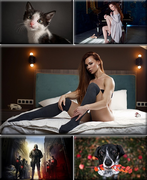 LIFEstyle News MiXture Images. Wallpapers Part (1613)