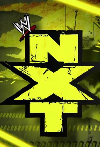 WWE NXT 2020 02 19 1080p WEB x264 ADMIT