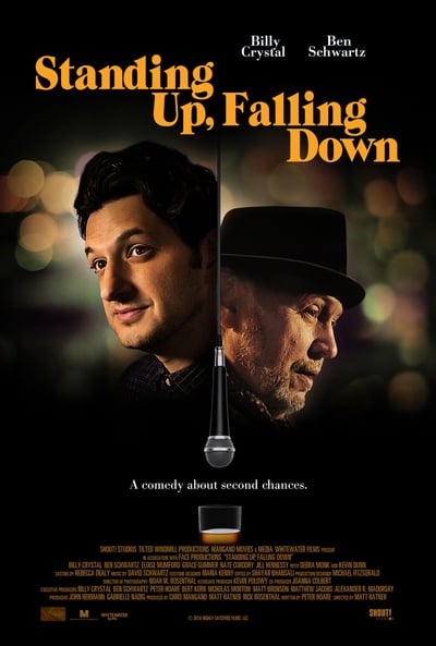 Standing Up Falling Down 2019 720p WEB-DL XviD AC3-FGT