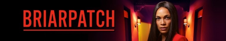 Briarpatch S01E03 iNTERNAL 1080p WEB h264 TRUMP