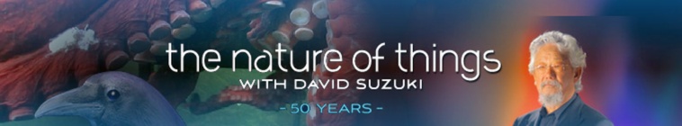 The Nature of Things with David Suzuki S59E15 1080p WEBRip x264 CookieMonster