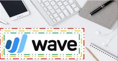 Wave Accounting 2020