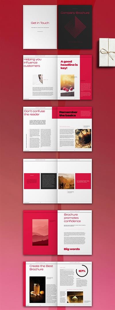 Magenta and White Brochure Layout 315954921