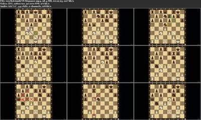 Chess Strategies Learn Geometrical Tactical Chess  Maneuvers A1db3fe0841318304157b3144aeec12f