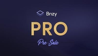 Brizy Pro v0.0.34 - WordPress Builder Plugin