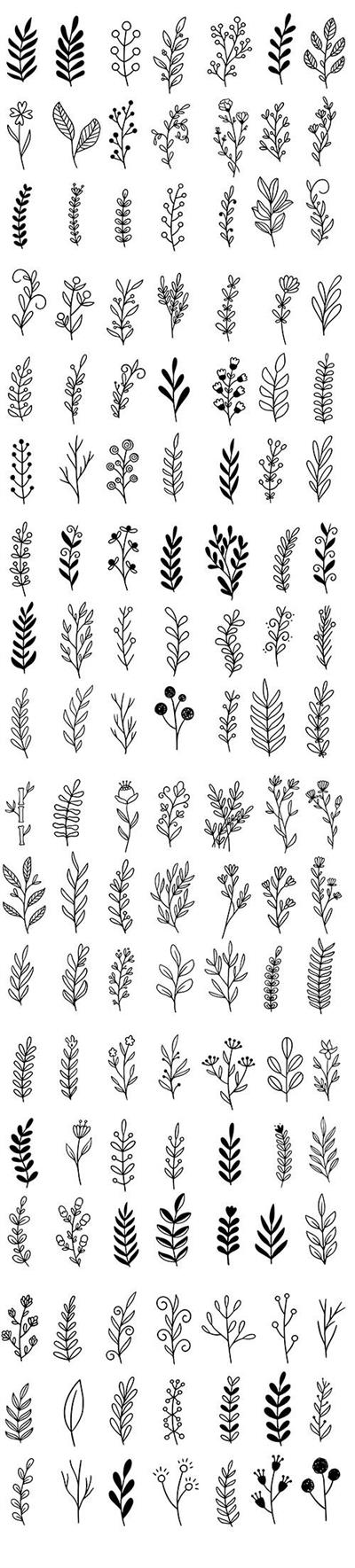 Collection of Forest Natural Leaves and Herbs Line Style