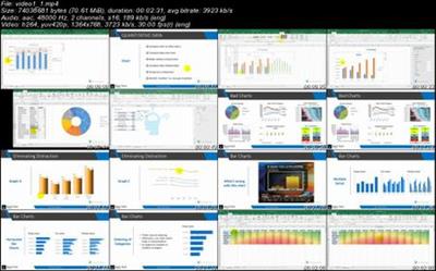 Data Visualization in Excel All Excel Charts and Graphs  [Video] 219798b68fd6a167baf5264566231434