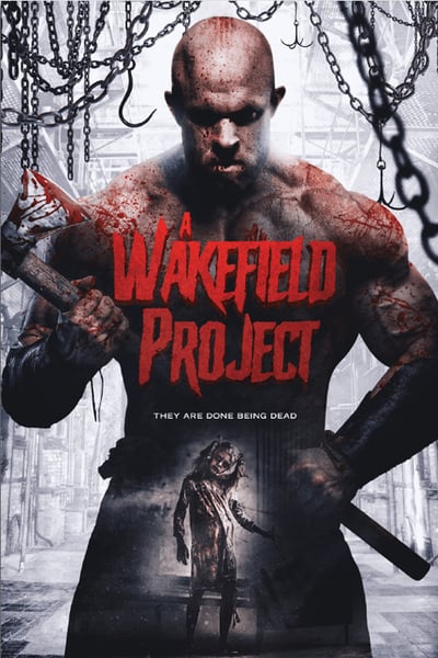 A Wakefield Project 2019 WEB-DL XviD AC3-FGT