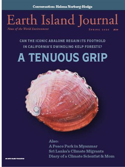 Earth Island Journal   Spring 2020