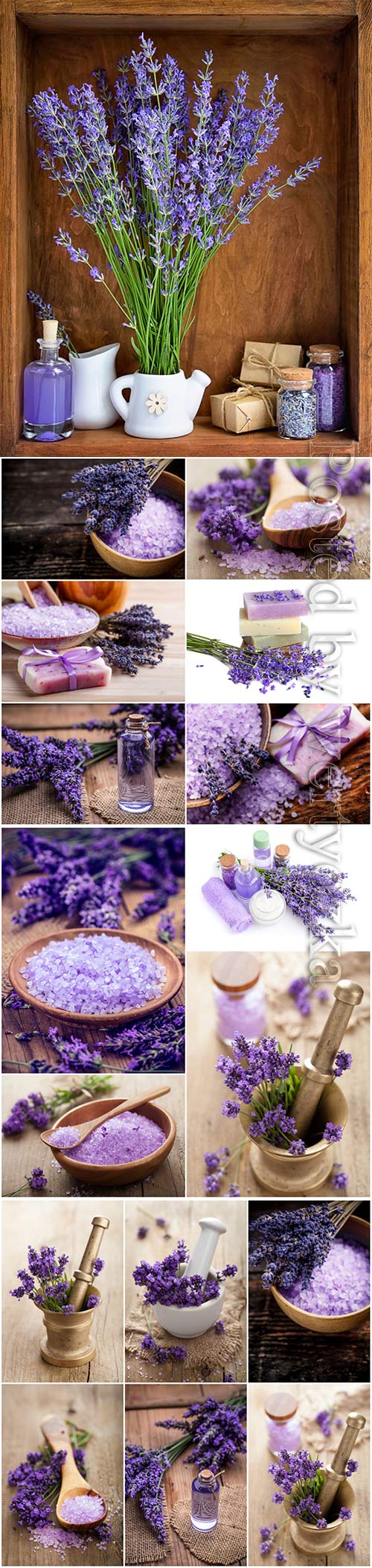 Lavender, spa concept beautiful stock photo
