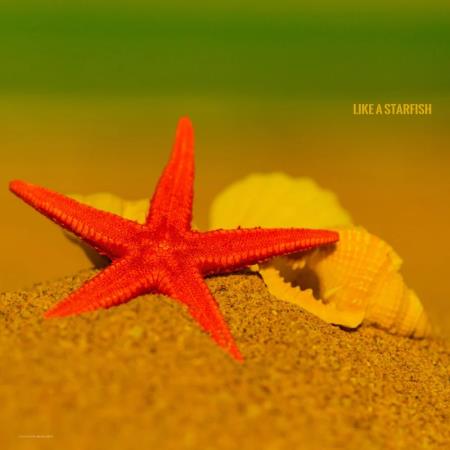 Like a Starfish (2020)