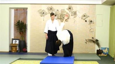 100 Aikido Ukemi Build Up   Advanced Level