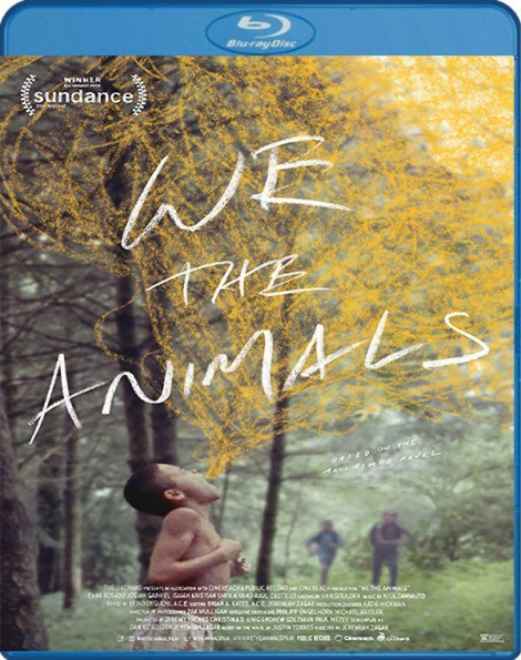We the Animals (2019) ITA-ENG Ac3 5 1 BDRip 1080p H264 [ArMor]