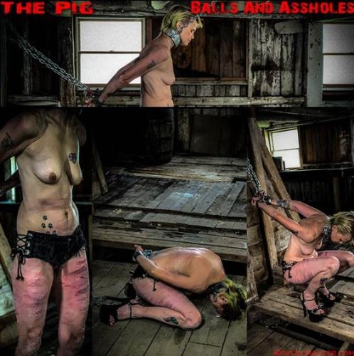 The Pig balls and ass holes [FullHD, 1080p] [BrutalMaster.com]