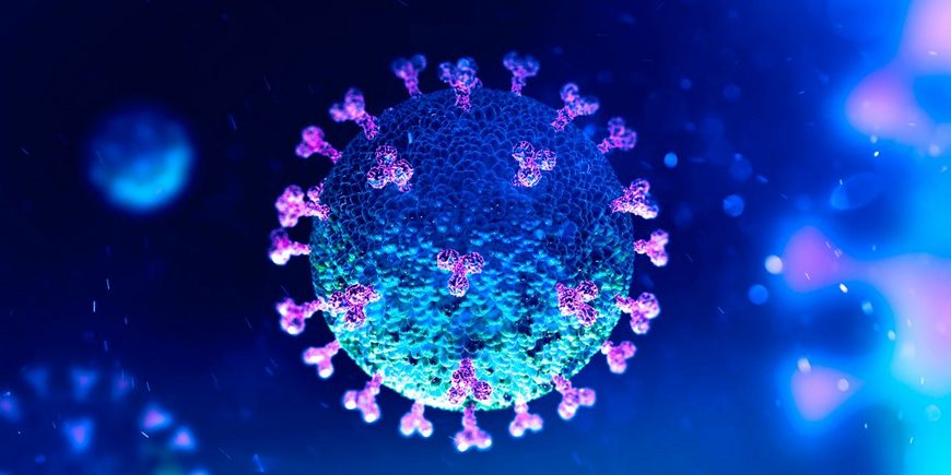 Что необходимо знать о коронавирусе