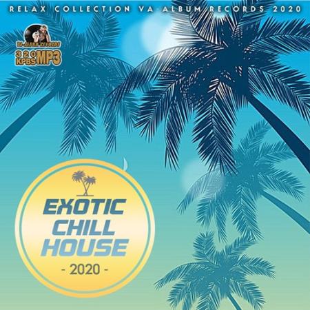 Exotic Chill House (2020)