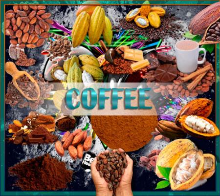 Растровые клипарты - Какао и какао бобы