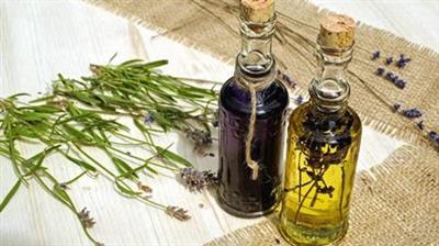 Herbalism  Complete Guide To Making Herbal  Remedies