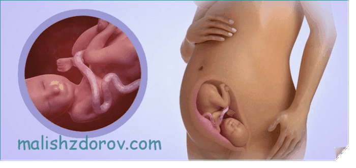 Беременность 28 неделя – развитие плода и ощущения женщины