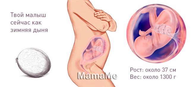 Беременность 30 недель – развитие плода и ощущения женщины