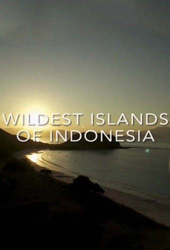 Wildest Islands Of Indonesia S01E04 1080p WEB x264 707