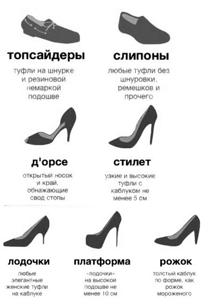 Все виды женской обуви сегодня – учимся разбираться в фасонах, типах и формах женских туфель и