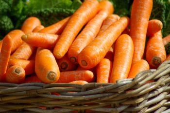 Вред и польза моркови — позволяет ли она похудеть