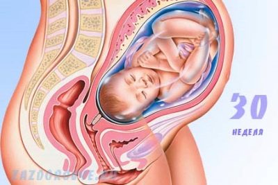 Беременность 30 недель – развитие плода и ощущения женщины