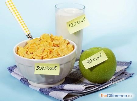 Разница между калориями и килокалориями