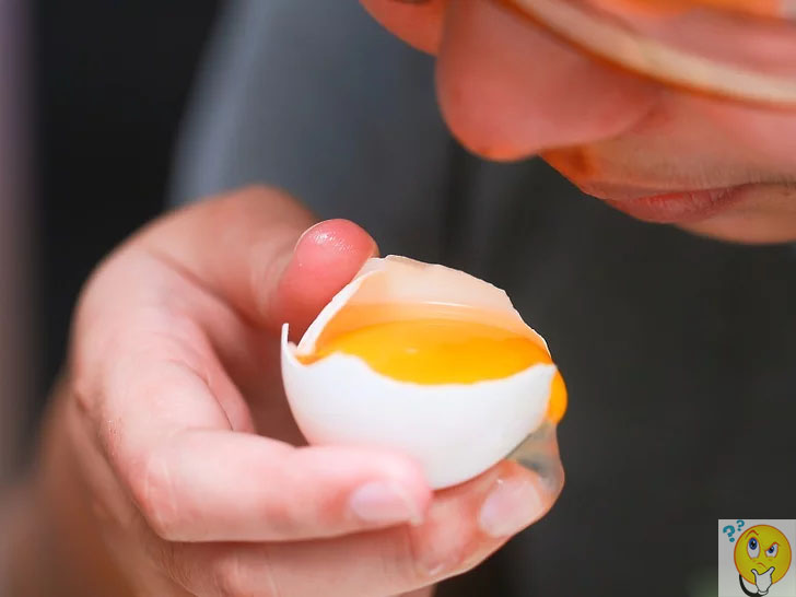 Отличие свежего яйца от тухлого