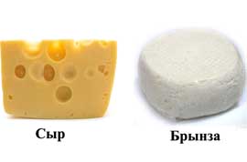 Разница между брынзой и сыром