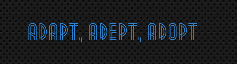 Разница между adopt и adapt