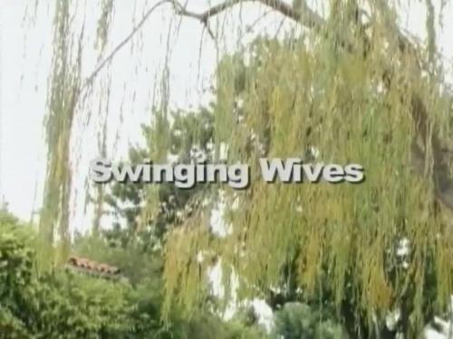 Swinging Wives / Одна постель на троих (Cooper Headly) [2005 г., Drama, DVDRip] [rus]