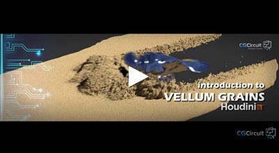 CG Circuit   Introduction to Vellum Grains