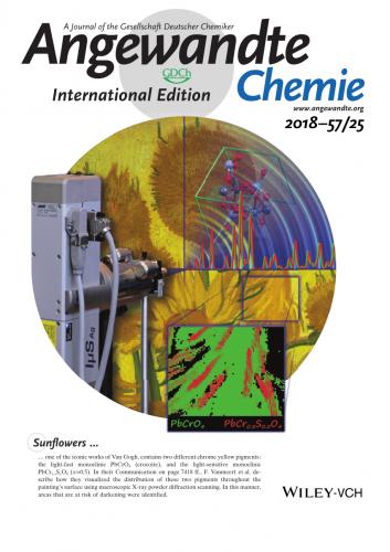 Angewandte Chemie International Edition 2020 (PDF, ENG)