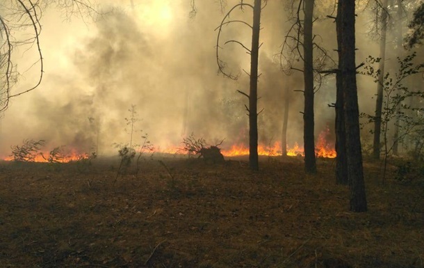 В зоне отчуждения в Чернобыле горит лес