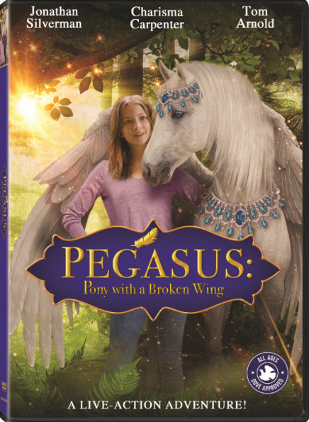 Pegasus Pony With A Broken Wing 2019 720p WEBRip x264 AAC-YTS